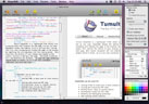 basic document window